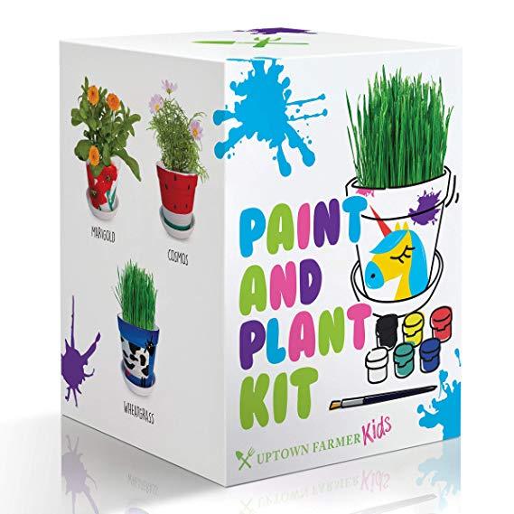 plant pot decorating kit Paint & Plant Kids Flower Pot Growing Kit with USA Seeds