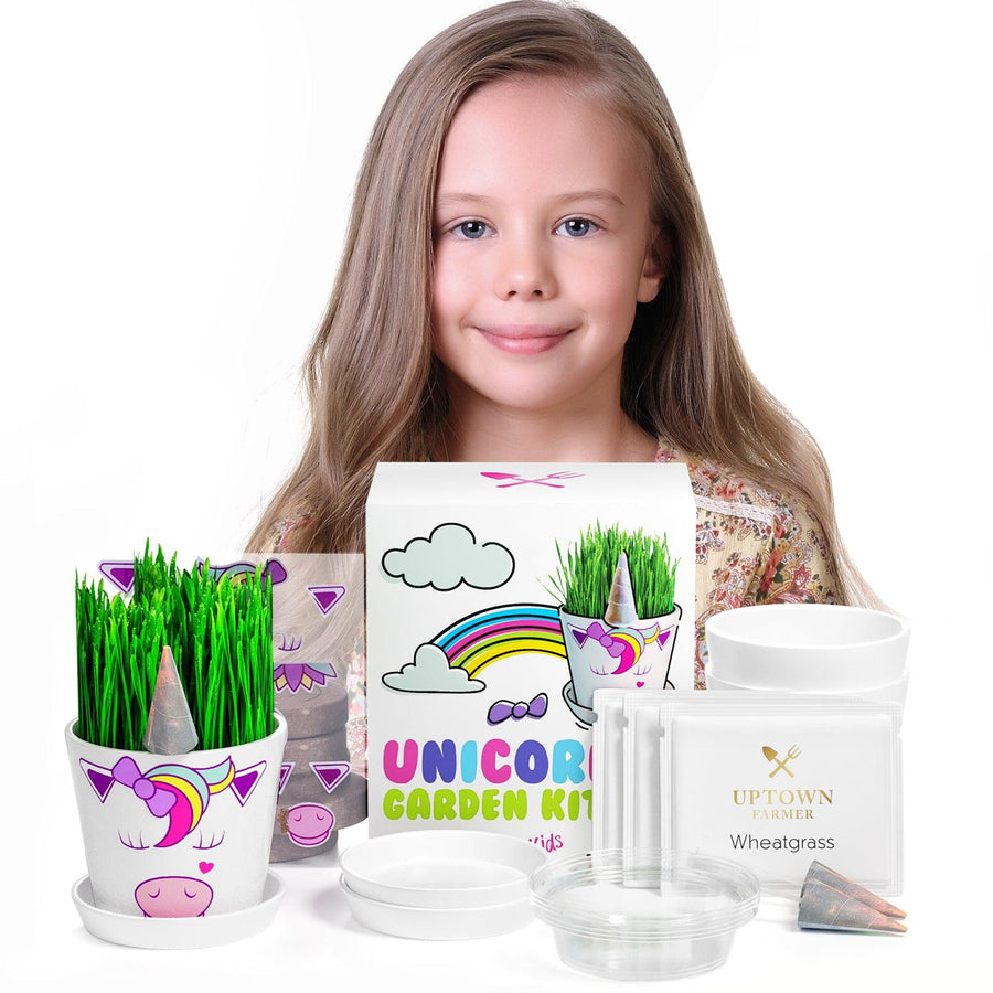 unicorn fairy garden Unicorn Fairy Garden Kit with Unicorn Stickers + Unicorn Horn Uptown Farmer