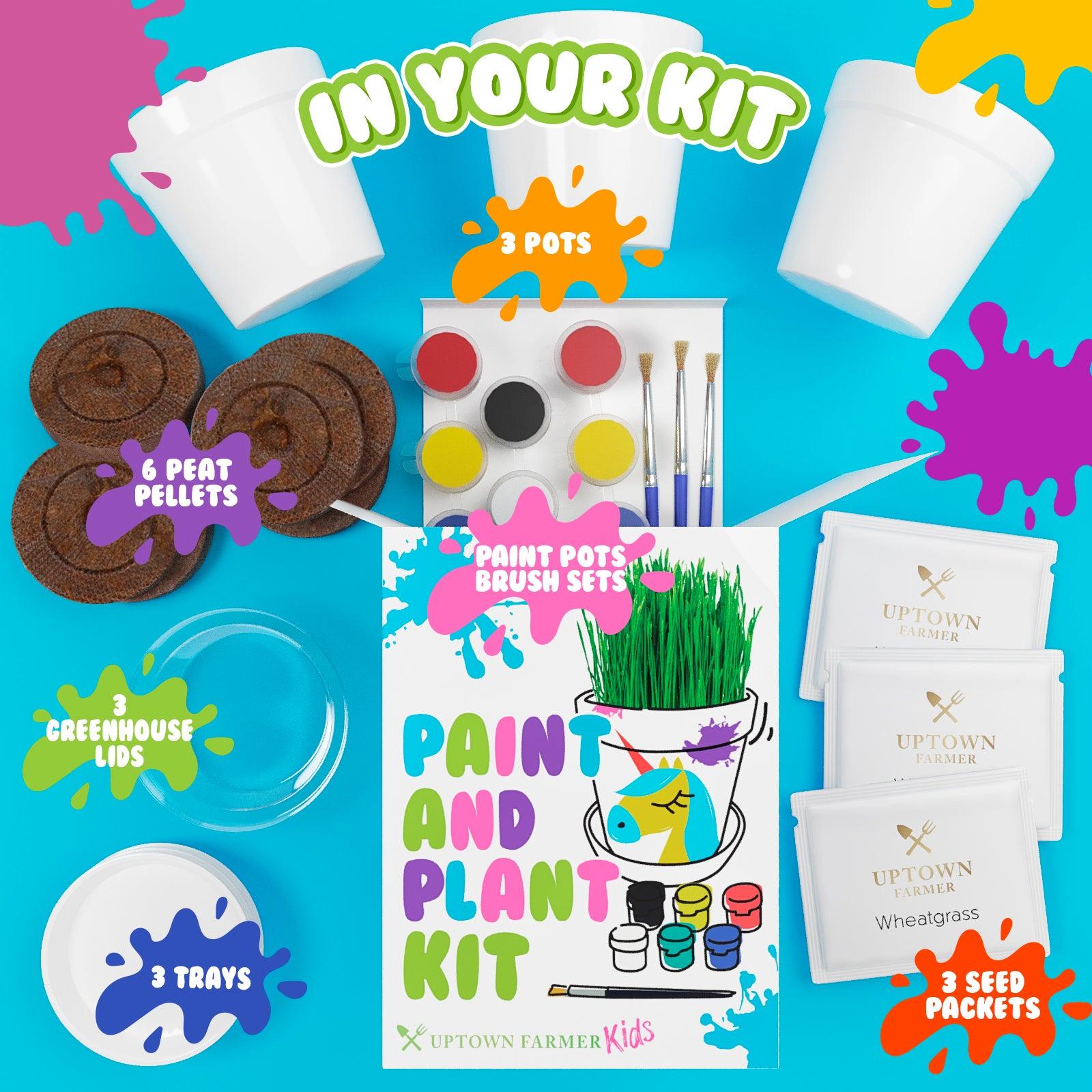Paint & Plant Flower Pot Growing Kit with USA Seeds