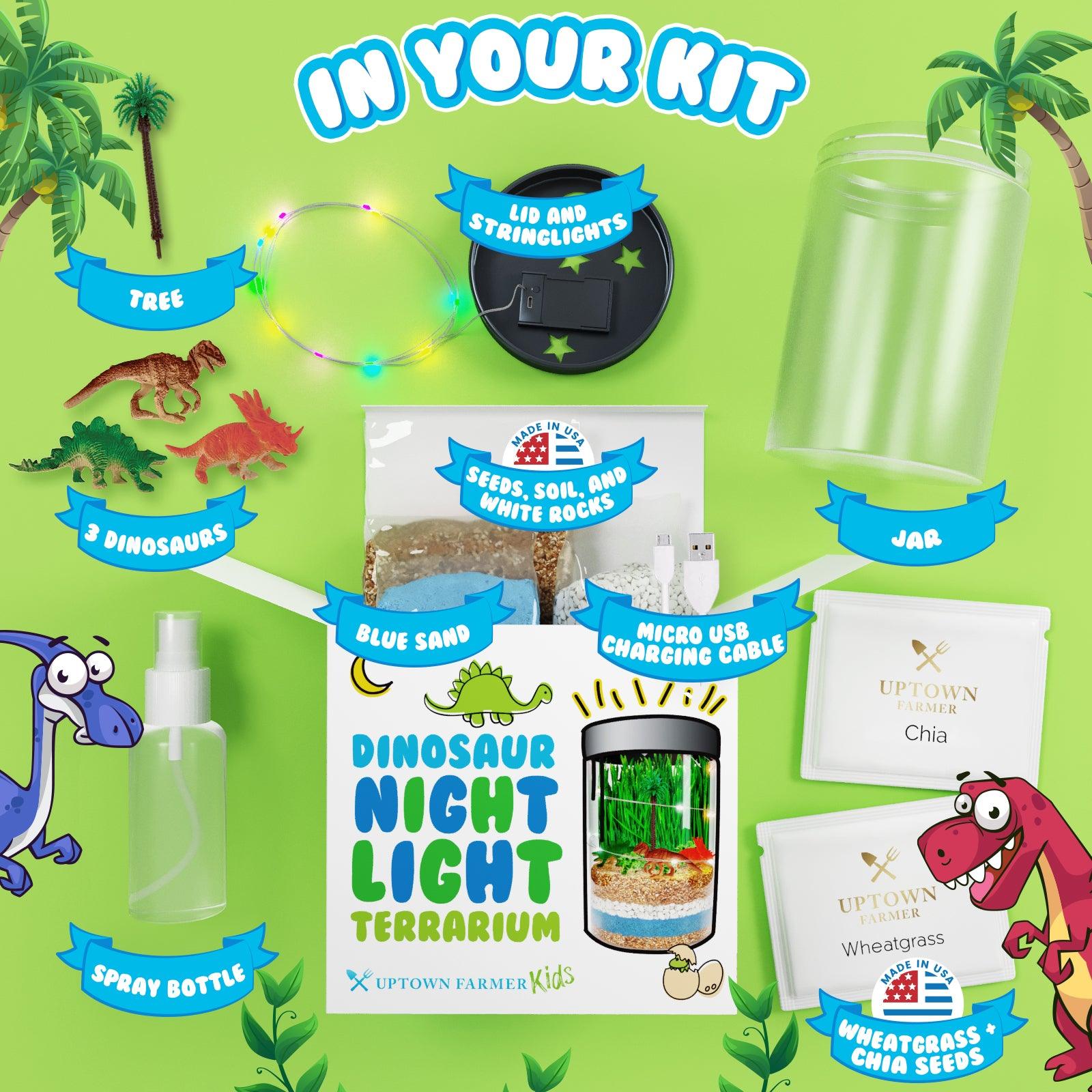 Dinosaur Night Light Terrarium Kit with USA Seeds Soil Figurines, LED Night Light