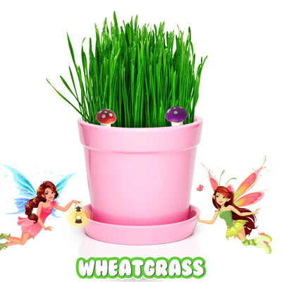 Pink Pot Fairy Garden Kit with Fairies, Pots, Soil, USA Seeds