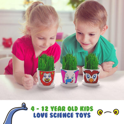 Animal Hairy Head Growing Kit with Animal Stickers