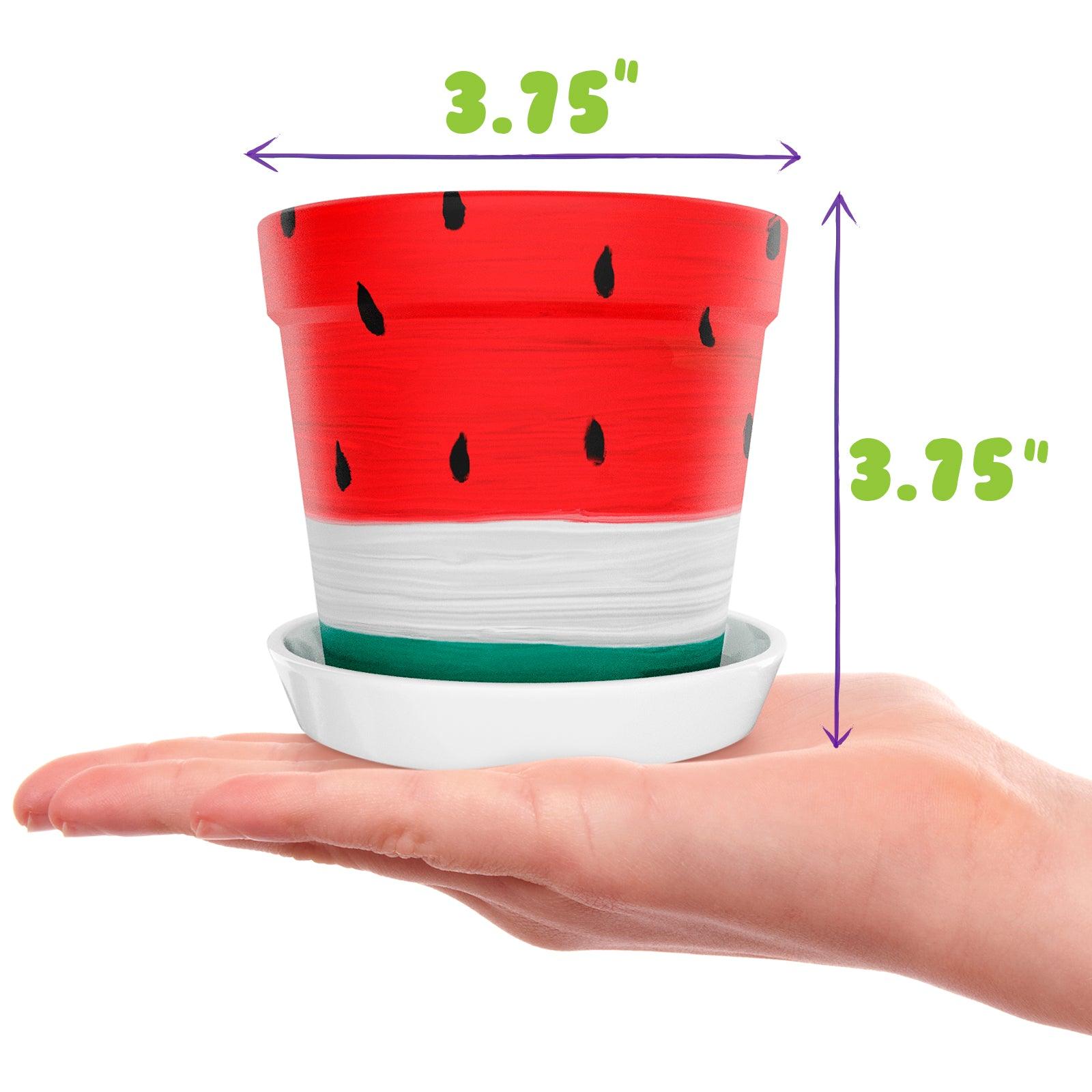 Paint & Plant Flower Pot Growing Kit with USA Seeds