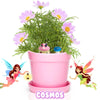 Pink Pot Fairy Garden Kit with Fairies, Pots, Soil, USA Seeds