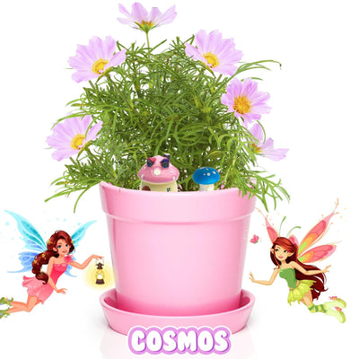 Pink Pot Fairy Garden Kit with Fairies, Pots, Soil, USA Seeds