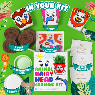 Animal Hairy Head Growing Kit with Animal Stickers