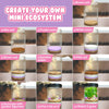 Unicorn Night Light Terrarium Kit for Kids with USA Seeds + Soil