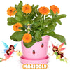 Pink Pot Fairy Garden Kit with Fairies, Pots, Soil, USA Seeds