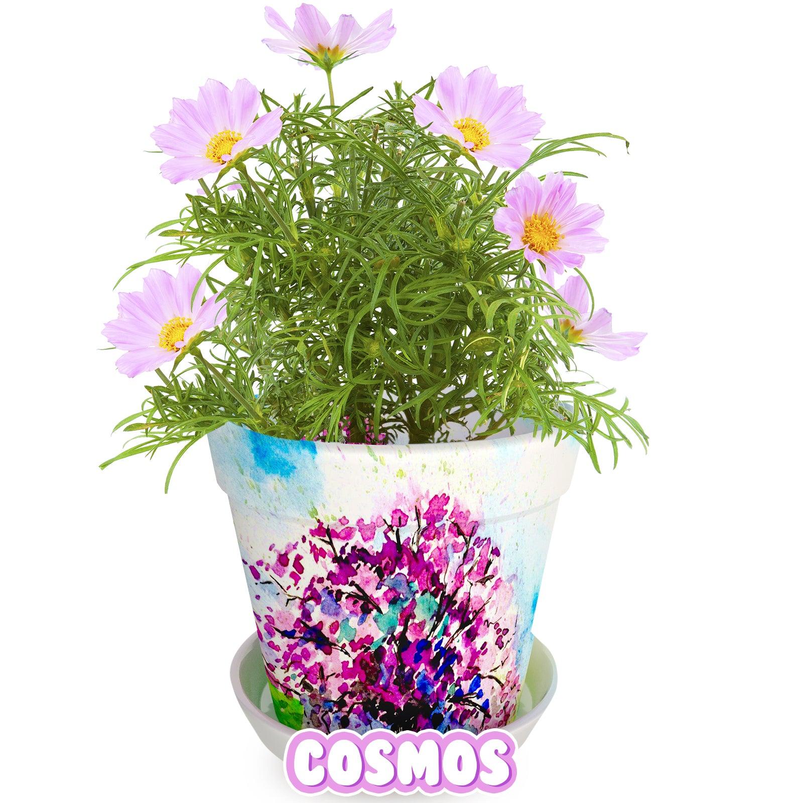 Paint & Plant Flower Pot Growing Kit with USA Seeds