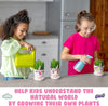 unicorn fairy garden Unicorn Fairy Garden Kit with Unicorn Stickers + Unicorn Horn Uptown Farmer