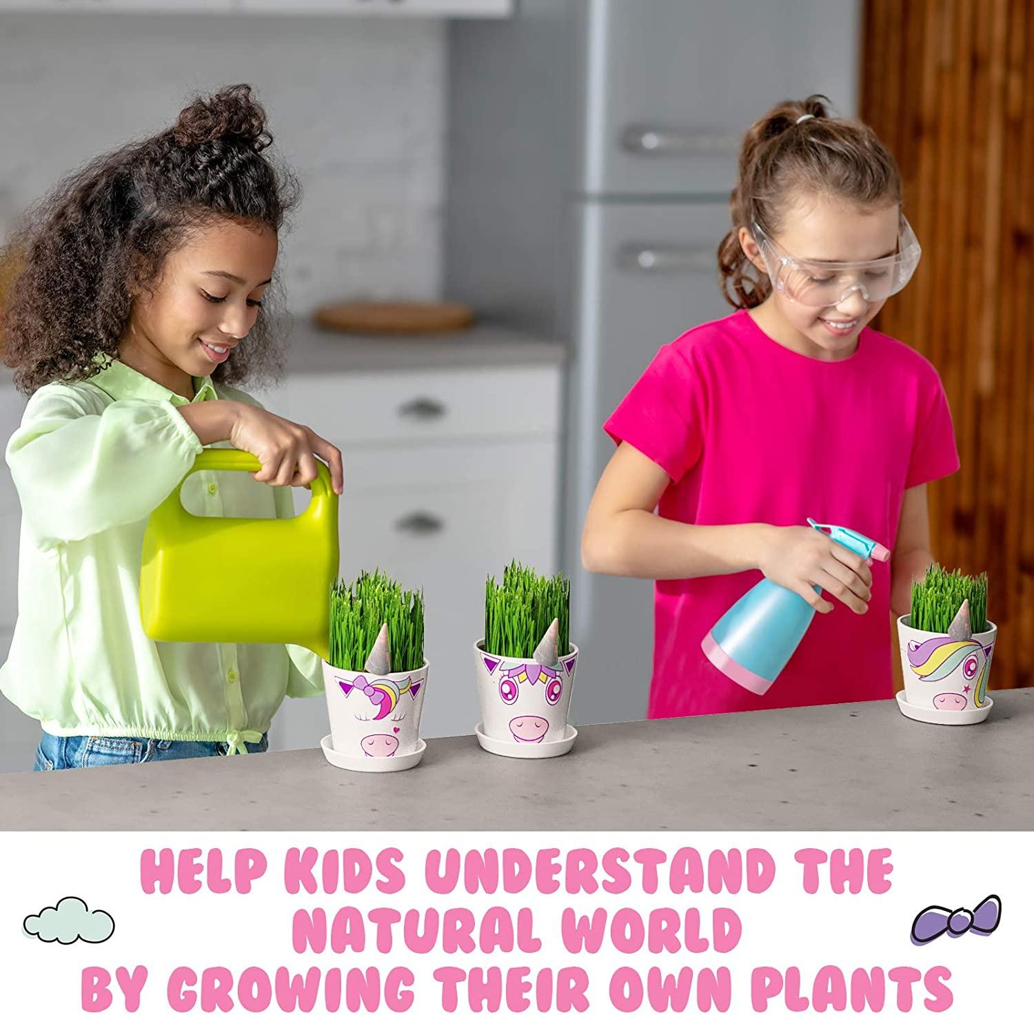 unicorn fairy garden Unicorn Fairy Garden Kit with Unicorn Stickers + Unicorn Horn Uptown Farmer