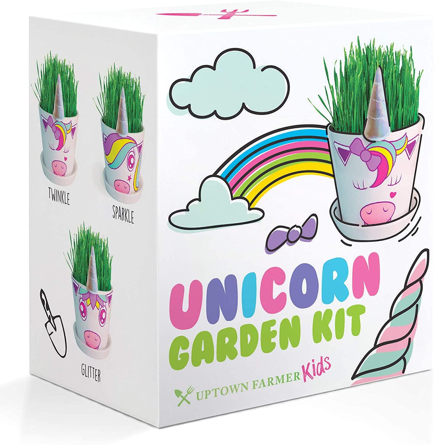 unicorn fairy garden Unicorn Fairy Garden Kit with Unicorn Stickers + Unicorn Horn Uptown Farmer