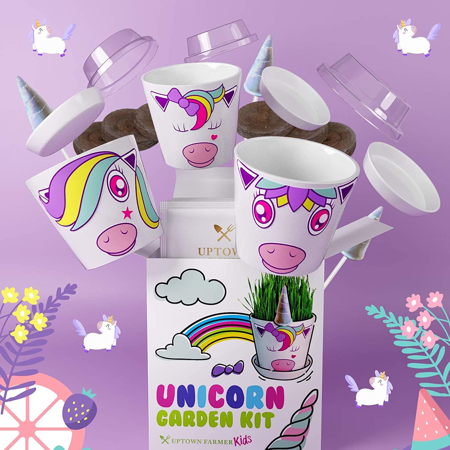 unicorn fairy garden Unicorn Fairy Garden Kit with Unicorn Stickers + Unicorn Horn Uptown Farmer