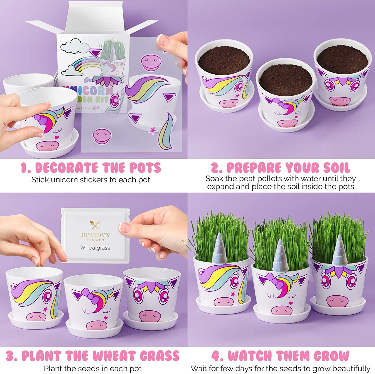 unicorn fairy garden Unicorn Fairy Garden Kit with Unicorn Stickers + Unicorn Horn Uptown Farmer