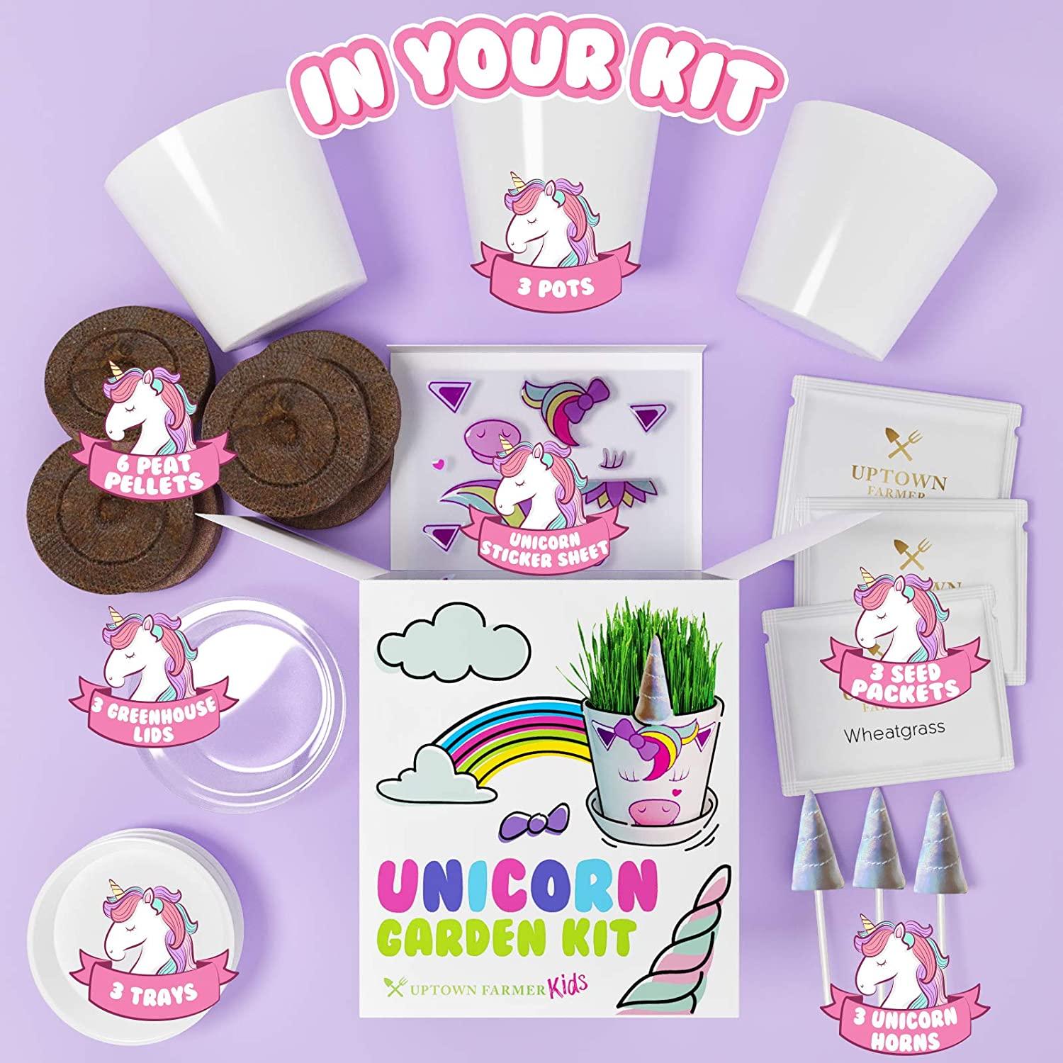 unicorn fairy garden Unicorn Fairy Garden Kit with Unicorn Stickers + Unicorn Horn Uptown Farmer