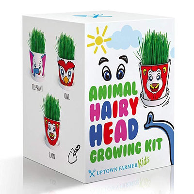 Animal Hairy Head Growing Kit with Animal Stickers