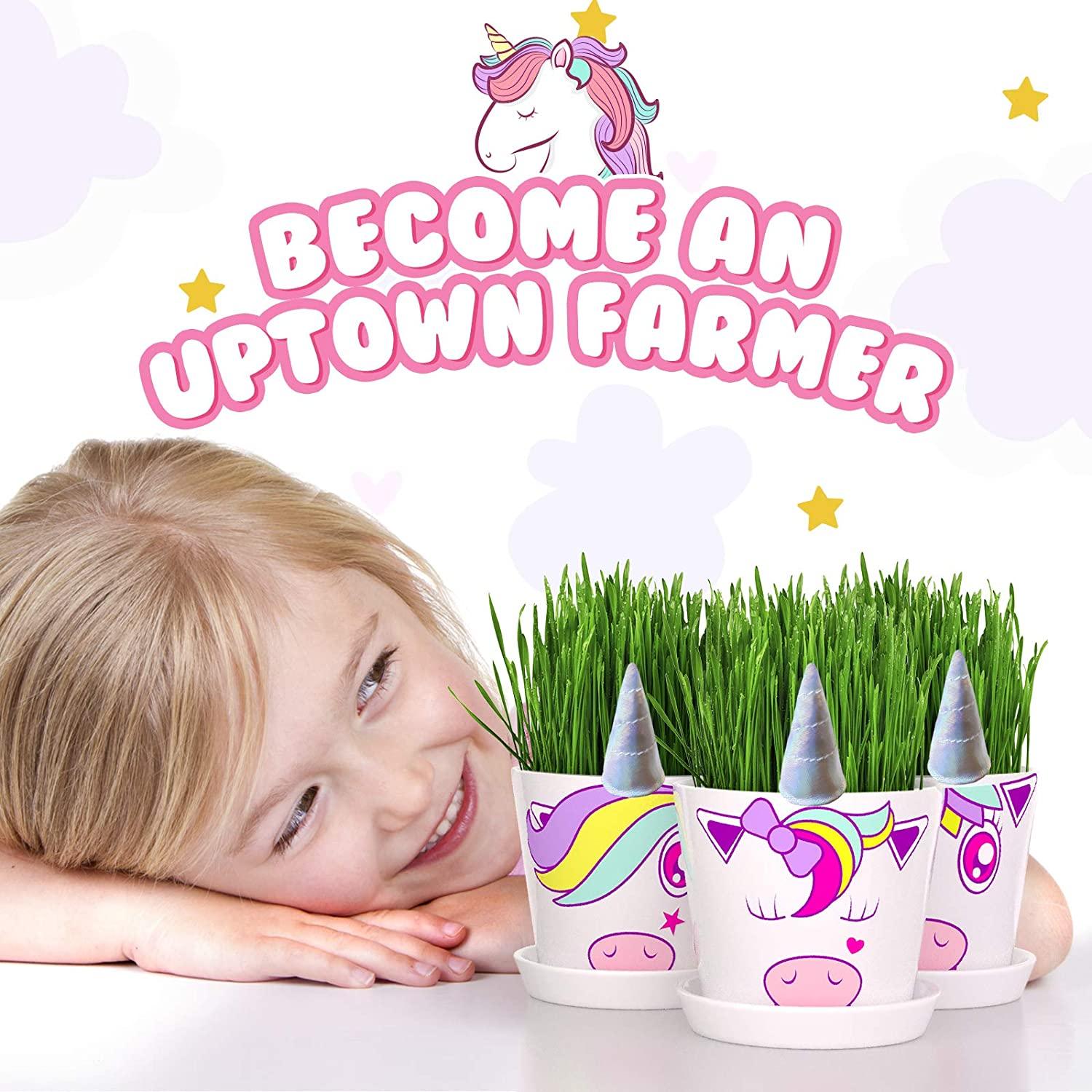 unicorn fairy garden Unicorn Fairy Garden Kit with Unicorn Stickers + Unicorn Horn Uptown Farmer