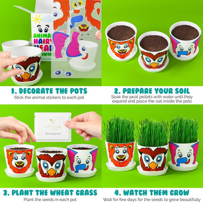 Animal Hairy Head Growing Kit with Animal Stickers