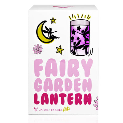 Fairy Garden Lantern Kit with LED Lantern Lights