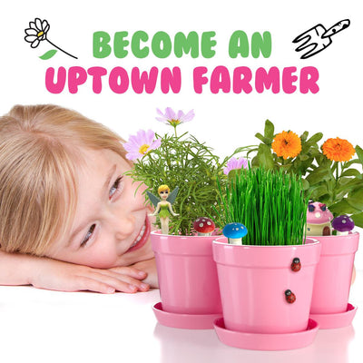 Pink Pot Fairy Garden Kit with Fairies, Pots, Soil, USA Seeds