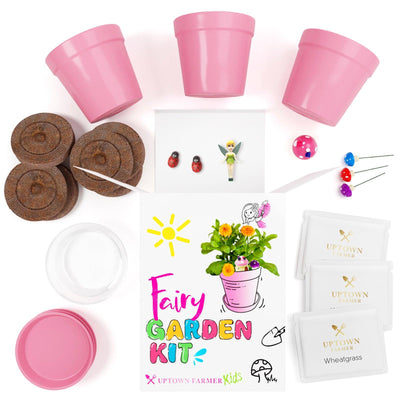 Pink Pot Fairy Garden Kit with Fairies, Pots, Soil, USA Seeds