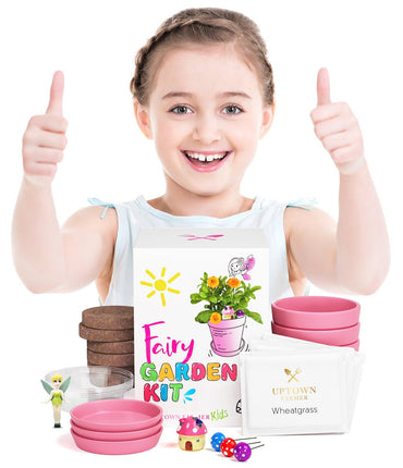 Pink Pot Fairy Garden Kit with Fairies, Pots, Soil, USA Seeds