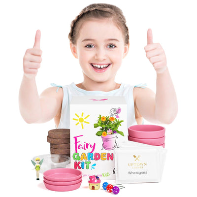 Pink Pot Fairy Garden Kit with Fairies, Pots, Soil, USA Seeds