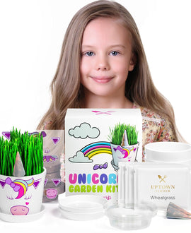 Unicorn Fairy Garden Kit with Unicorn Stickers + Unicorn Horn