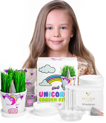 Unicorn Fairy Garden Kit with Unicorn Stickers + Unicorn Horn