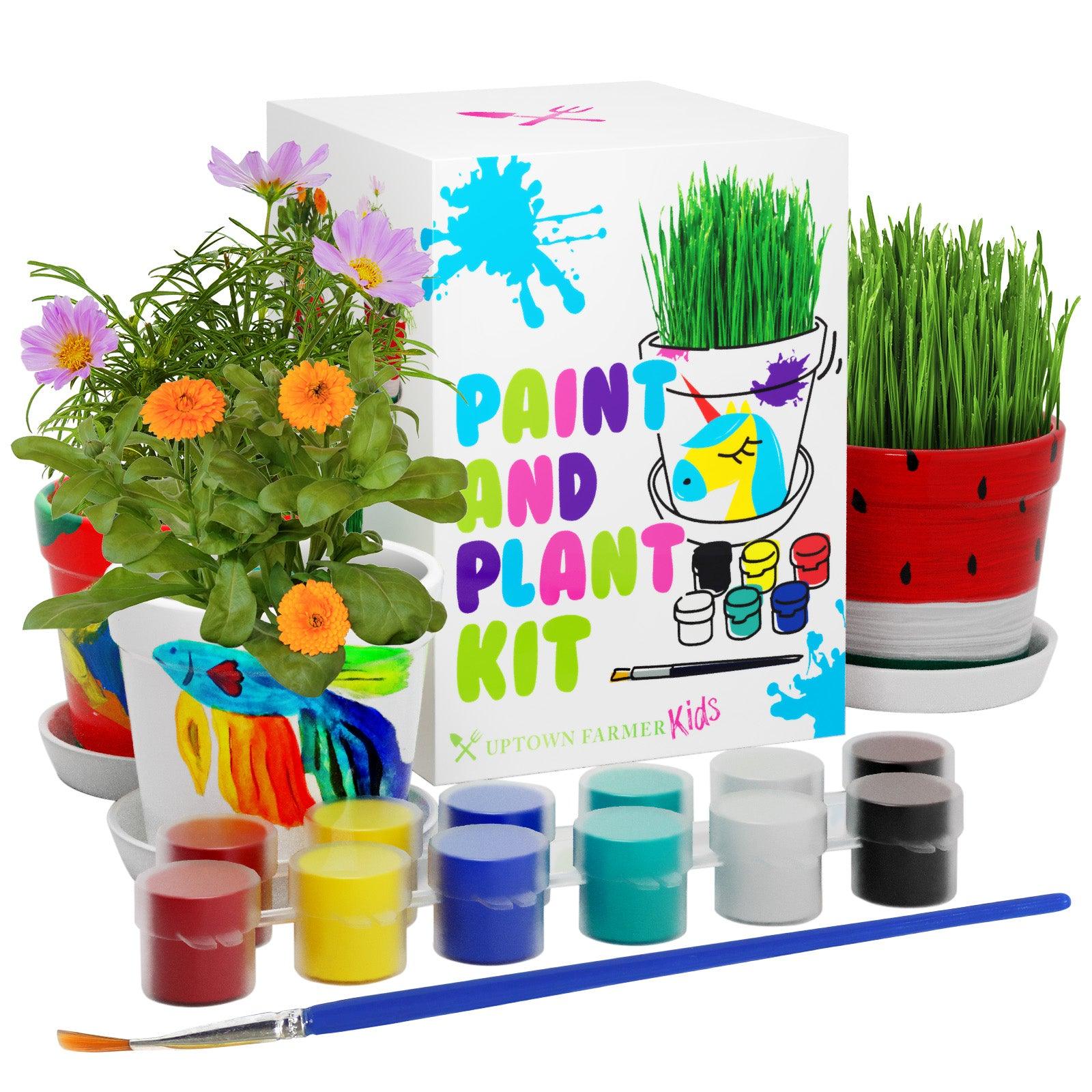 4 Set Paint & Plant Ceramic Flower Gardening Kit - Crafts for
